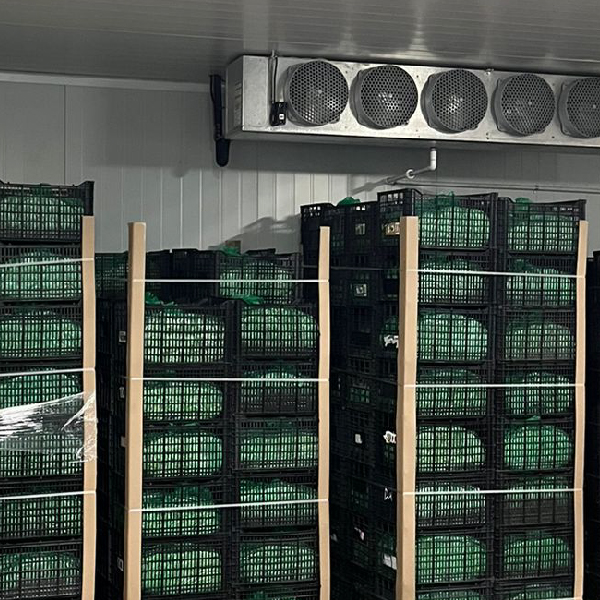 CARRUSEL-REFRIGERACION-04
